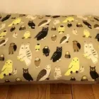 Business 5 image MUCKY PAW PETS LLC Pets & Animals in London Gr