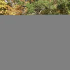 Business 3 image MUFFIN BREAK ABERDEEN Cafes & Coffee Shops in Aberdeen Ab