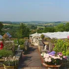 Business 2 image MULBERRY & THYME BATH Restaurants in Bath Av