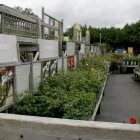 Business 13 image MULBERRY & THYME BATH Restaurants in Bath Av