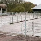 Business 3 image MUNCHEES Cafes & Coffee Shops in Reading Be