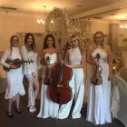 Business 4 image MUSIC8 AGENCY Wedding Services in ST HELENS Me