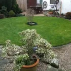 Business 8 image MY SMART GARDEN Weed Control in Halewood Me