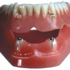 Business 4 image N HUTTON BOAT BUILDERS LTD Boat Builders & Repairs in Lymington Ha