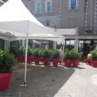 Business 1 image NANDO'S Portuguese Restaurants in Aberdeen Ab