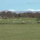 Business 1 image NAPOLETANA Italian Restaurants in Dover Ke