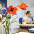 Business 3 image NEEDSPACE? CRAWLEY BUSINESS CENTRE Real Estate Services in Crawley We