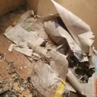 Business 9 image NEMESIS PEST CONTROL Pest & Animal Control in Purley Su