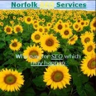 Business 1 image NORFOLK SEO SERVICES Web Developers in Norwich No
