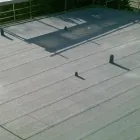 Business 22 image NORTH LAKES FLATROOFING & JOINERY LTD Roofing Services in Carlisle Cu