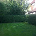 Business 2 image NORTH WEST ECHO Newspapers & Magazines in Londonderry Co