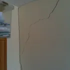 Business 1 image NORTON AQUATICS Pet Shops in Radstock Av