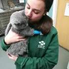 Business 2 image OAK TREE VET CENTRE Veterinary Services in Edinburgh Edh