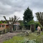 Business 8 image OAKWOOD TREE AND LANDSCAPING Tree Services in Derby De