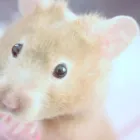 Business 2 image ODEON CINEMA Cinemas in Telford Sh