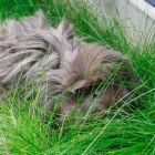 Business 16 image ODEON CINEMA Cinemas in Telford Sh