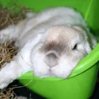 Business 8 image ODEON CINEMA Cinemas in Telford Sh