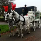 Business 7 image OM FUNERAL SERVICES LTD Transportation Services in Leicester Le