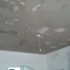 Business 1 image OPUS BUILDING SERVICE Real Estate Services in Bolton Gr