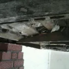 Business 2 image OPUS BUILDING SERVICE Real Estate Services in Bolton Gr