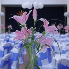 Business 7 image ORIENTAL CHEF LTD Takeaway Food in Purley Su