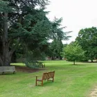 Business 5 image ORIENTAL CHEF LTD Takeaway Food in Purley Su