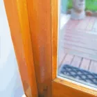 Business 4 image PALMS RESTAURANT & GRILL African Restaurants in Coventry We