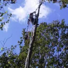 Business 6 image PARCEL EXPRESS COURIERS Courier Services in Norwich No