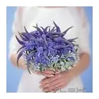 Business 9 image PARTY PERFECT Wedding Services in Hindley Gr