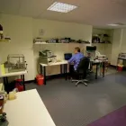 Business 3 image PERFECT PIANO PLAYING ( JO NIBLETT ) Music Teachers in Bristol Av