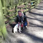 Business 3 image PET COMPANION UK Pets & Animals in Bolton Gr