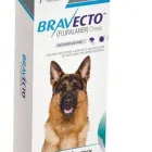 Business 7 image PET KINGS SUPPLY Pets & Animals in Aberdeen Ab