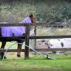 Business 2 image PETER LENNARD'S VOKERA REPAIRS Central Heating Services in London Gr