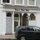 Business 1 image PETER'S POSH PETS Dog & Cat Grooming in London Gr