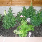 Business 31 image PHONE A MEAL Takeaway Food in Liverpool Me