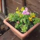 Business 1 image PHONE A MEAL Takeaway Food in Liverpool Me