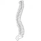 Business 3 image PHYSIO AT HOME Physiotherapy Clinics in Edinburgh Edh