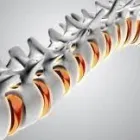 Business 4 image PHYSIO AT HOME Physiotherapy Clinics in Edinburgh Edh