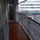 Business 7 image PIGEON CONTROL UK Pest & Animal Control in Reading Be