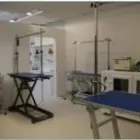 Business 3 image POOCHIES DOG GROOMING Pets & Animals in Bournemouth Do