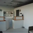 Business 4 image POOCHIES DOG GROOMING Pets & Animals in Bournemouth Do