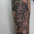 Business 3 image POPPA SAMS TATTOO & FINE ART STUDIO Tattooists in Walsall We