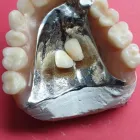 Business 4 image PRECISION DENTAL LABORATORY Health & Medicine in Poole Do