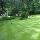 Business 4 image PRECISION GARDENS Garden Services in Bolton La