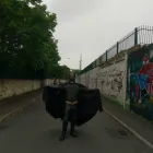 Business 16 image PRIME PARTIES & MASCOTS Theatrical Costumes & Equipment in Leeds We