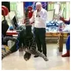 Business 48 image PRIME PARTIES & MASCOTS Theatrical Costumes & Equipment in Leeds We