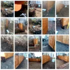 Business 15 image PRIMEHAVEN.CO.UK Landscapers in MITCHAM Gr