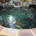 Business 60 image PRO PAVING Paving & Driveway Contractors in Southend On Sea Es