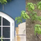 Business 11 image PROEFFECT Painters & Decorators in Farnham Su