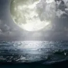 Business 31 image PSYCHIC LOVERS Shopping & Retail in Birmingham We